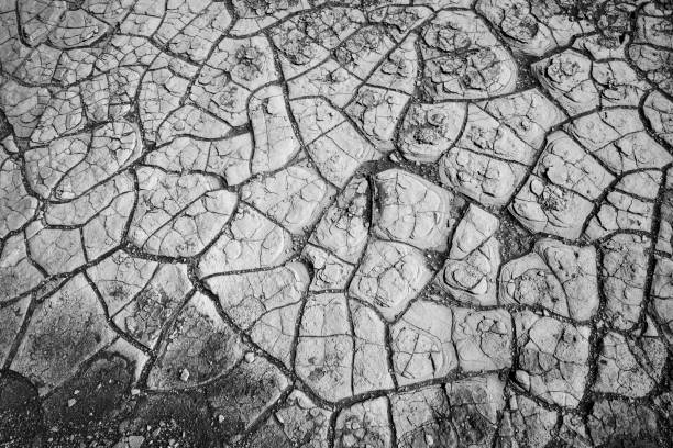 Sedimentary formation from clay soil drying and cracking. These dramatic cracks are found in Death Valley National Parks famous Mesquite Flats.