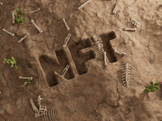 istock NFT Crypto Ground Hole Dry Fossil Dead Excavation 3D Illustration 1408757341