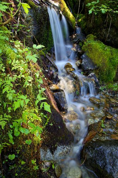 istock Surprise Creek and Lake 1408758342