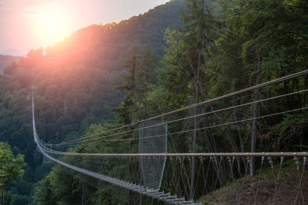 istock Tibetan bridge of Dossena 1408763132