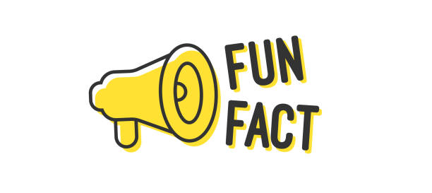Fun fact megaphone banner design Fun fact megaphone banner design. Vector eps 10 illustration. fact bubble stock illustrations