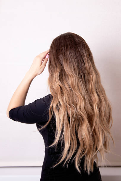 istock Female back with long, curly, brunette hair 1408766579