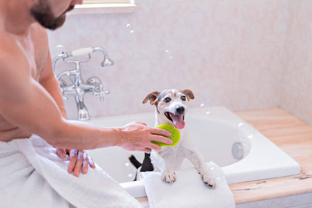 istock Funny dog with shower cap having fun with soap bubbles in bathroom with owner 1408768022
