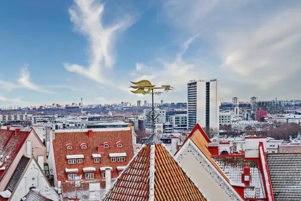 Photo of Iconic view of Tallinn old city cityscape skyline from observation deck in winter
