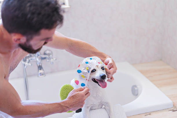 istock Funny dog with shower cap having fun with soap bubbles in bathroom with owner 1408768027