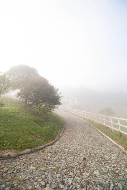 istock Foggy morning on the farm 1408769891