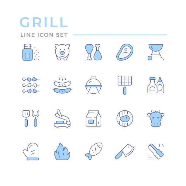 ilustraciones, imágenes clip art, dibujos animados e iconos de stock de establecer iconos de línea de color de la parrilla - salt sausage fire flame