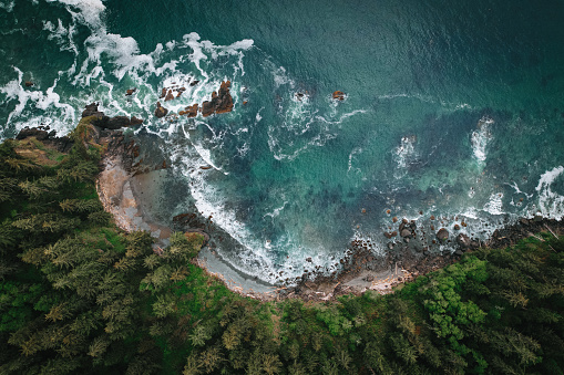 Drone View Pacific Northwest Coastline Evergreens Washington