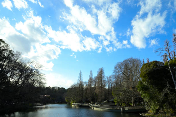 Winter, Inokashira, Tokyo, Japan (Jan-Mar-2022)