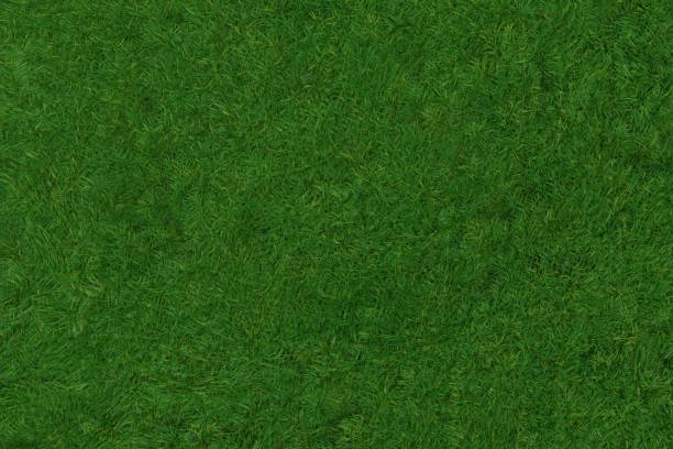 Background Illustration of Overhead Lawn Background Illustration moss stock illustrations