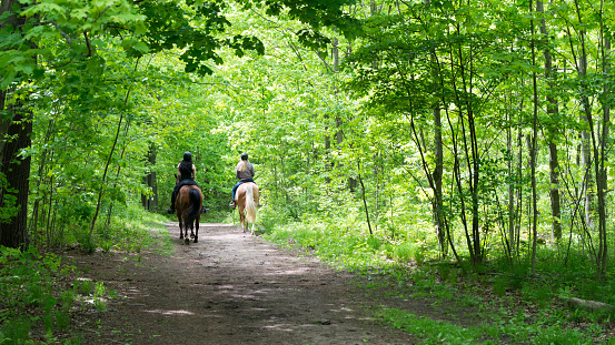 Ballantrae, Ontario, Canada - May 23, 2022:  Two female horse riders on woodland trails. The hamlet was first settled in early nineteenth century. Located on the Oakridge Moraine, it has many conservation forests for recreational activities.
