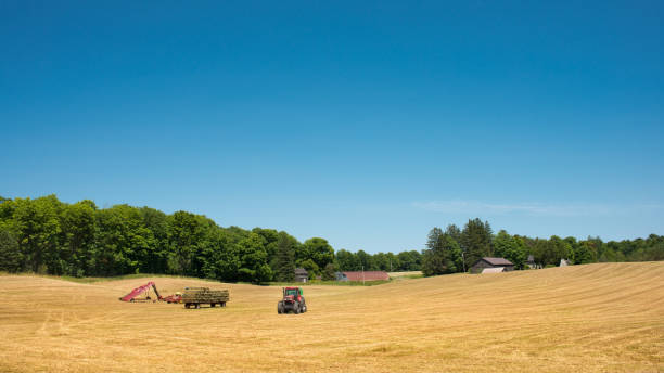 terres agricoles au canada - tracteur et presse à balles sur un grand champ d’herbe sous un ciel bleu dans le sud de l’ontario - uxbridge photos et images de collection