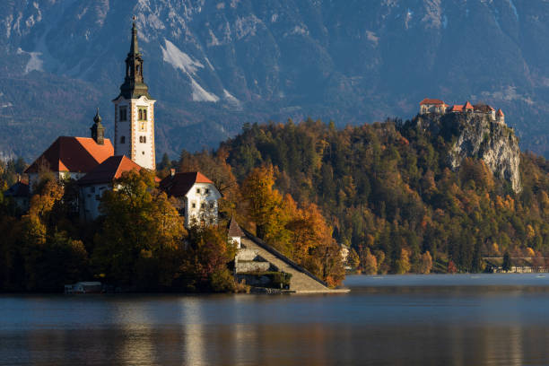 l'isola del lago di bled con il suo castello medievale sullo sfondo, slovenia. - santa maria church foto e immagini stock