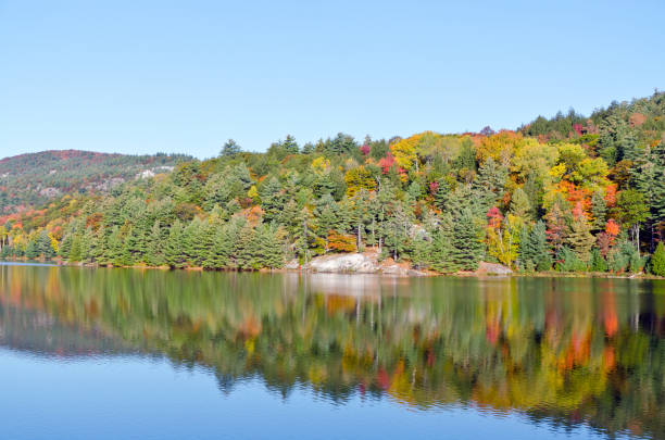 istock Sunrise above forest lake 1408794636