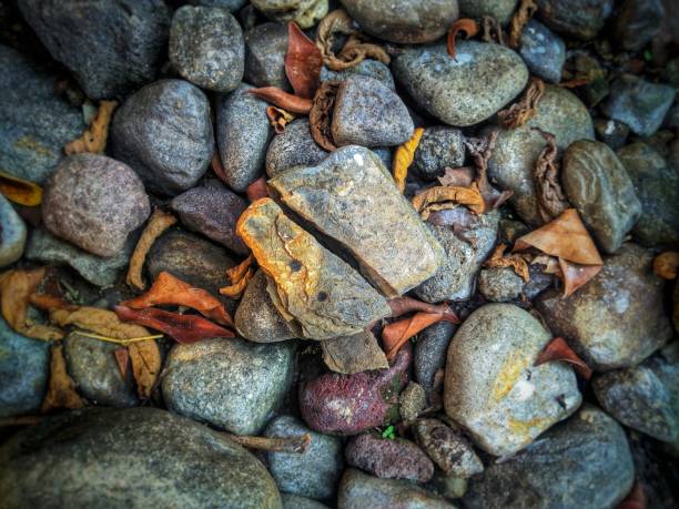 A close-up, high-angle view of a dense collection of small, multi-coloured pebbles and stones, on the banks of the River Thames in London. he mix includes natural stones, as well as fragments worn down bricks.