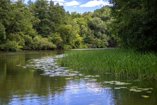 istock Landscape. Green banks, river bend, blue sky with clouds. 1408801762
