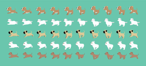 illustrations, cliparts, dessins animés et icônes de chien irish wolfhound français bulldog mastiff kuvasz staffordshire terrier walking running cartoon vector set - irish terrier dog running terrier