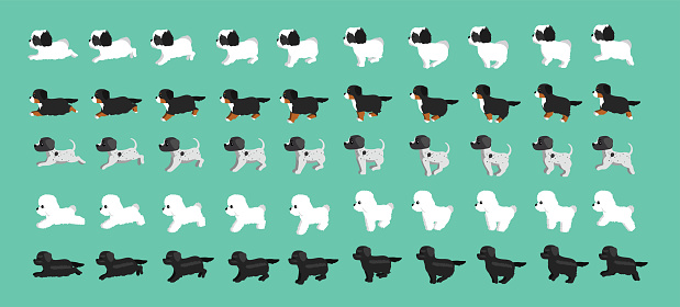 Dog Newfoundland Bichon Frise Pointer Bernese Havanese Walking Running Cartoon Vector Set