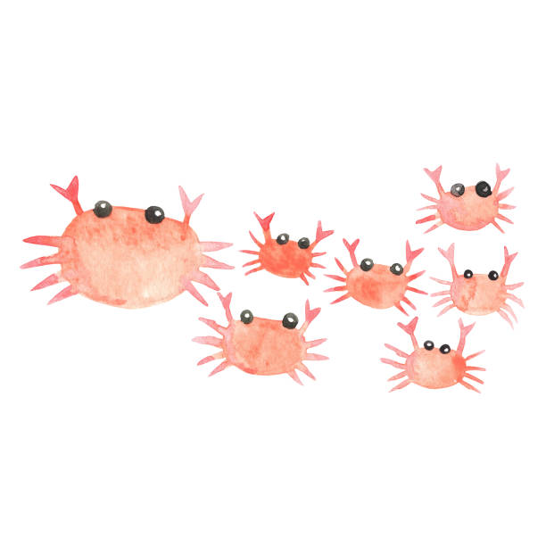 istock Abstract red crabs watercolor for decoration on summer beach and seafood concept. 1408805091