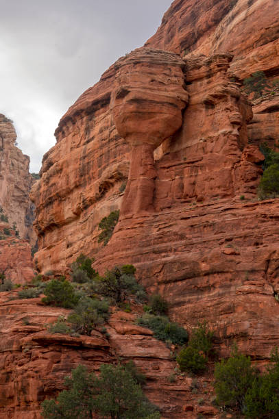 fay canyon - picturesque america or the land we live in canyon mountain mountain range - fotografias e filmes do acervo