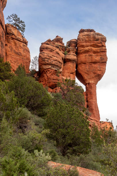 fay canyon - picturesque america or the land we live in canyon mountain mountain range - fotografias e filmes do acervo