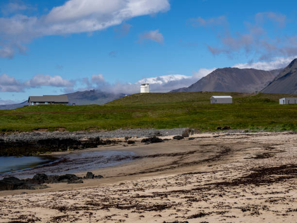 istock Ytri Tunga Beach in Iceland 1408807855