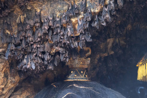 プラゴアラワ寺院のコウモリの洞窟、バリ、インドネシア - pura goa lawah ストックフォトと画像