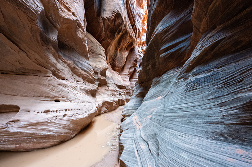 View along a hike inside Buckskin Gulch, the worlds deepest slot canyon. Located in-between the cities of Page and Kanab on the Utah, Arizona border in the southwest USA.