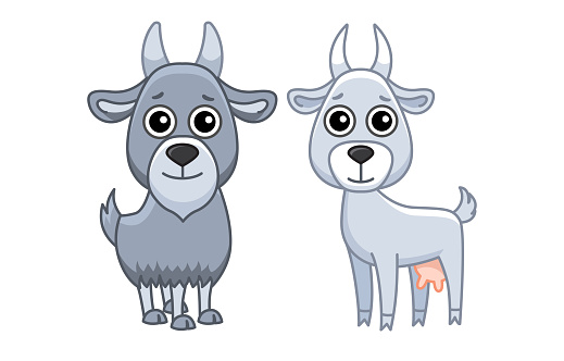 Farm animal for children coloring book. Vector illustration of goats cuple in a cartoon style