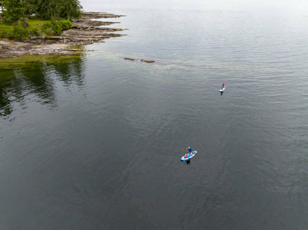 istock Couple paddle boarding along a coastline wit their children on the boards 1408812785