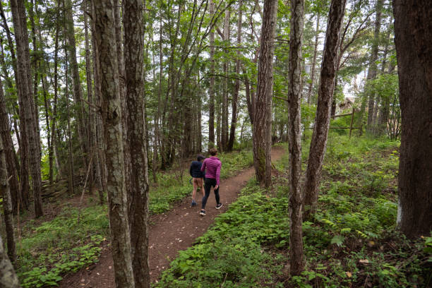 istock Mother and son hiking in a forest 1408812927