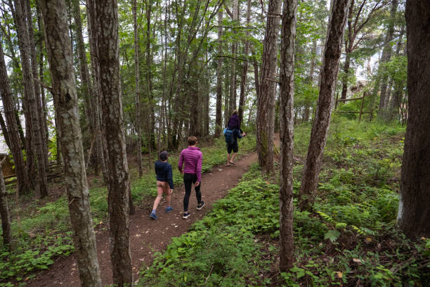 istock Family hiking in nature 1408812933