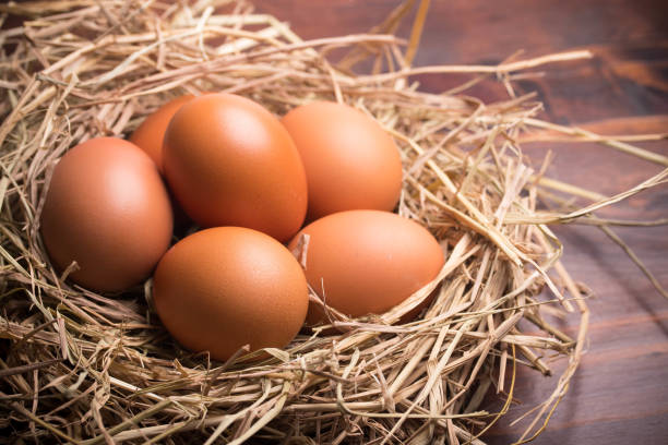 istock fresh chicken eggs in straw on wooden background 1408813159