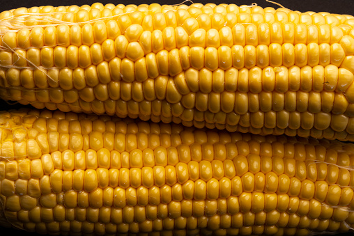 Corn close-up. isolated on a white background.