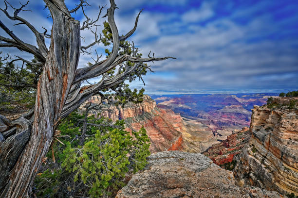 istock The Grand Canyon Arizona 1408816473