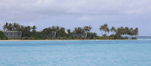 istock Maldives resort island with palm trees 1408820398