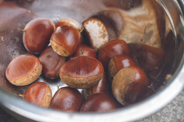 istock Picking up chestnuts Taste of autumn 1408821170