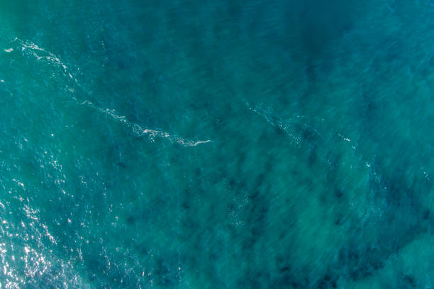 istock Aerial top view of green ocean surface background 1408826352