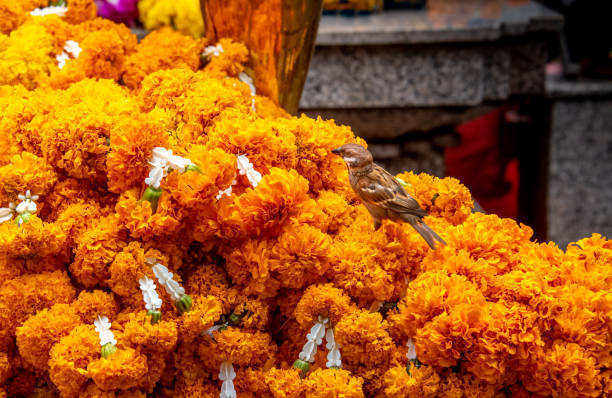 istock Erawan Buddhist Shrine in Bangkok Thailand 1408829281