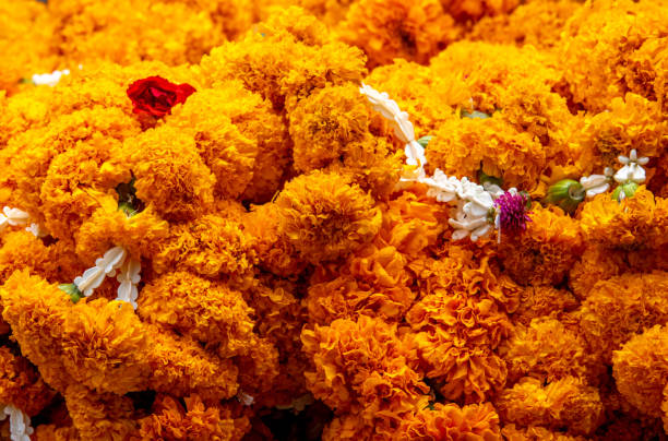 istock Erawan Buddhist Shrine in Bangkok Thailand 1408829297