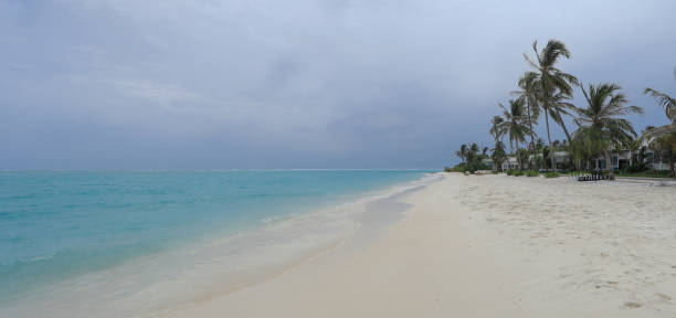 istock Maldives resort island with palm trees 1408830445