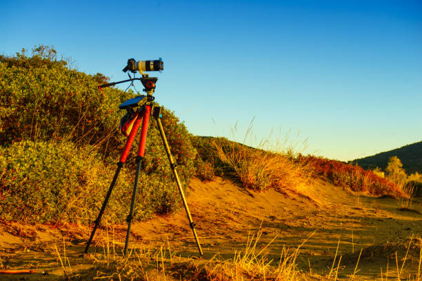 istock Camera on sand beach taking picture film 1408839929