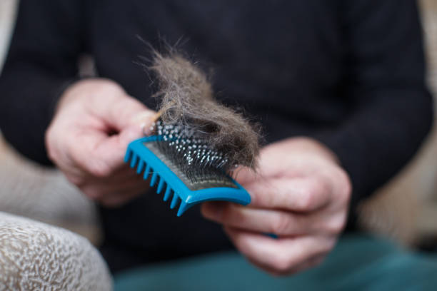 istock A man's hand holding the cat comb brush with gray fur. 1408841480