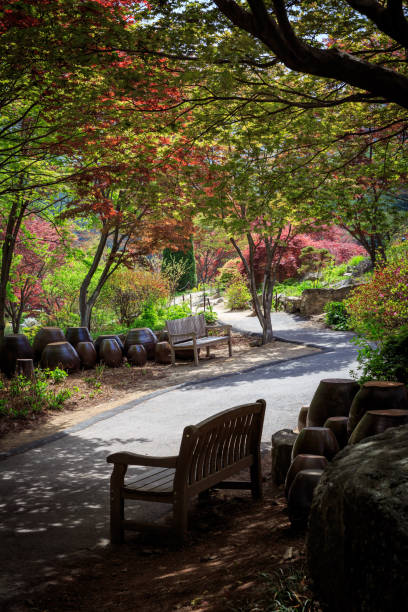 istock Korean natural park in springtime 1408845256