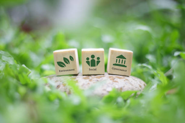 ESG Concept Environment, Society and Governance The word ESG on a wooden block is a concept for sustainable corporate development. Taking into account the responsibility in 3 main areas: environment, society and good governance concepto esg medio ambiente, sociedad y gobernanza la palabra esg en un bloque de madera es un concepto para el desarrollo corporativo sostenible. teniendo en cuenta la responsabilidad en 3 áreas principales: medio ambiente, sociedad y buen gobierno
