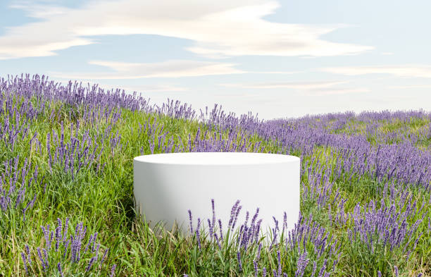 ラベンダーの花畑、製品表示用の雲と空の背景、風景シーンの3dレンダリング背景を備えたプラットフォームとナチュラル表彰台の背景 - purple pattern abstract backdrop ストックフォトと画像