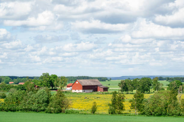 istock Barn at a farm in a rural landscape view 1408849267