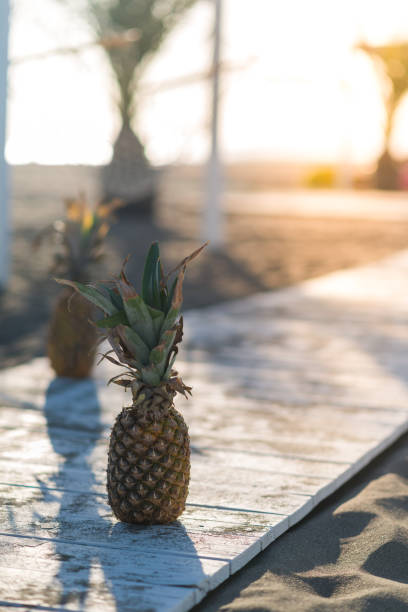 istock Two pineapples on a tropical beach, stock photo 1408850185
