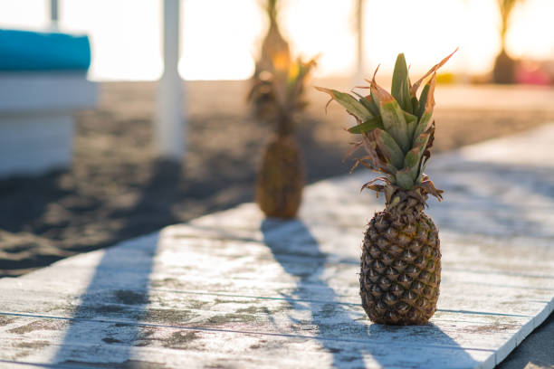 istock Two pineapples on a tropical beach, stock photo 1408850549