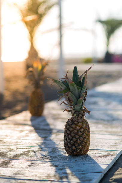 istock Two pineapples on a tropical beach, stock photo 1408850553